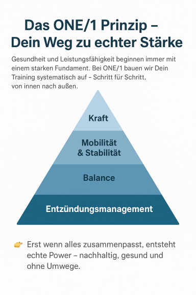 Trainingsprinzipien ONE/1