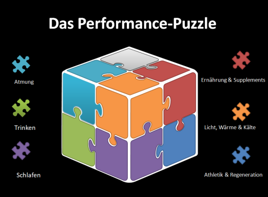 Performance Puzzle