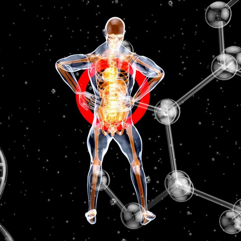 Longevity Länger gesund